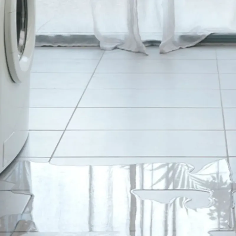 Appliance Leak Cleanup in Del Norte County, CA